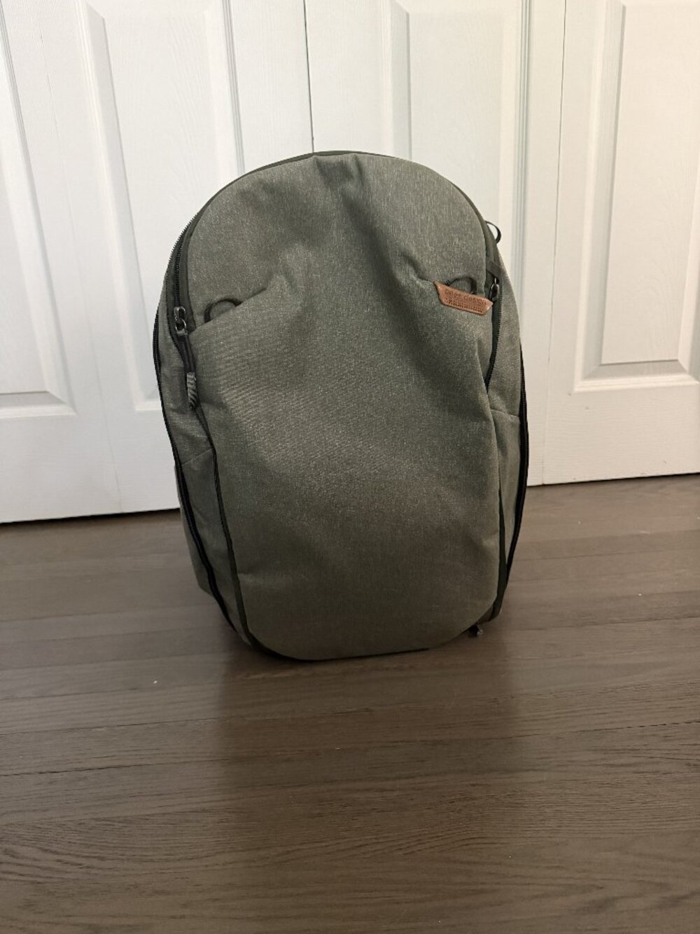 Peak Design Travel Backpack 30L - Sage / 30L